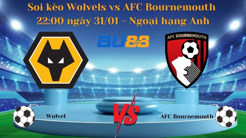 BU88 Nhận định bóng đá Wolvels vs AFC Bournemouth 22:00 ngày 31/01 - Ngoại hạng Anh