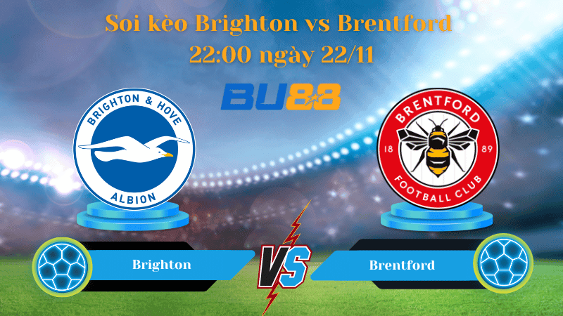BU88 Nhận định soi kèo Brightonc - Brentford 22:00 ngày 22/11 - Ngoại Hạng Anh.